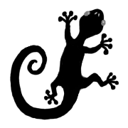 032