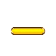 161