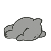 031