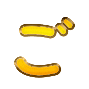 060