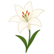 002