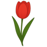 004