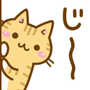 031