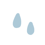 029