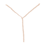 025