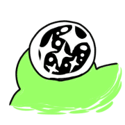 031