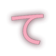 019