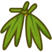 010