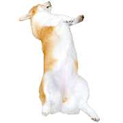 012