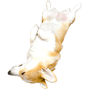 013
