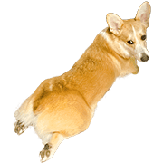 014
