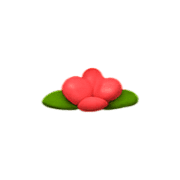 019