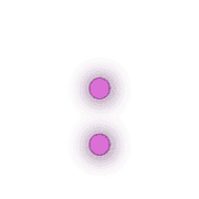 244