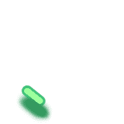 256