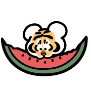 Alexander the Fat Tiger 03 ชีวิตประจำวัน รูปที่ 40