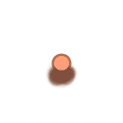 253