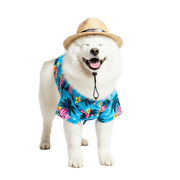 004