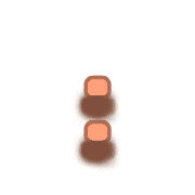 244