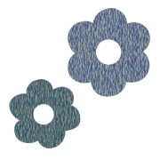 005