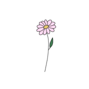 024