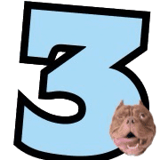 003