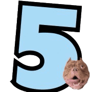 005