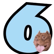006