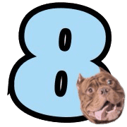 008