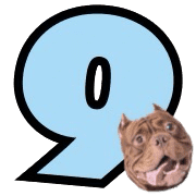 009