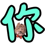 019
