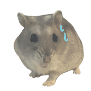 005