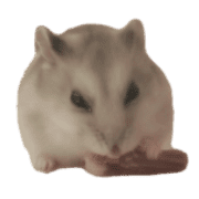 007