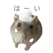 010