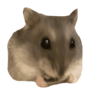 013