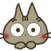 005