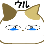 024