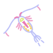 001