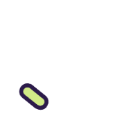 256