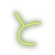020