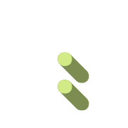 244