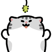 005