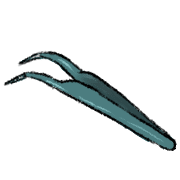 021