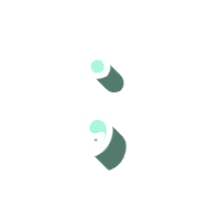 243