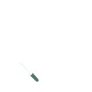 256