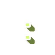 244