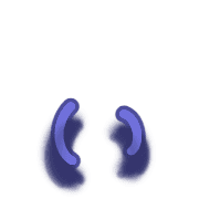 048