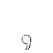 245