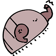 036