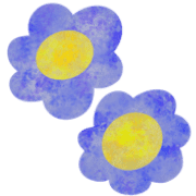 016