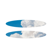 244